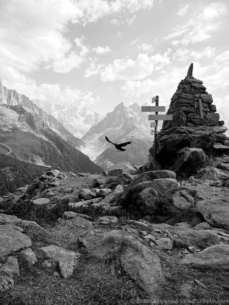 Paysages